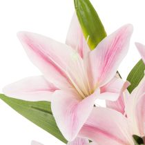 Prodotto Giglio artificiale, fiore a stelo, decorazione, 68 cm, 3 pezzi