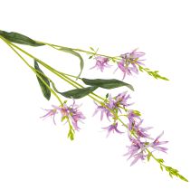 Prodotto Fiore artificiale Triteleia per un'elegante decorazione floreale negli spazi abitativi, 110 cm, 2 pezzi