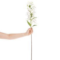 Prodotto Giglio bianco artificiale con lungo ramo fiorito, decorativo, 80 cm