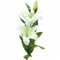 Prodotto Giglio pasquale bianco 86 cm