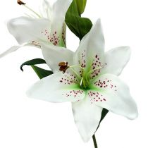 Lily bianco 66 cm