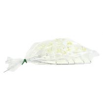 Prodotto Giglio su filo medio 25 pz