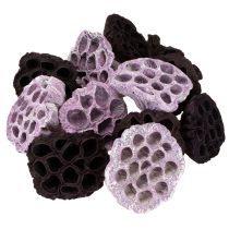 Prodotto Lotus Mix Rosa, Erika Ø6cm - Ø10cm 50 pezzi