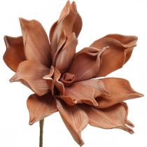 Fiore di loto Pianta artificiale Fiore di loto artificiale Marrone L64cm