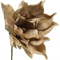 Fiore di loto, decorazione fiore di loto, pianta artificiale beige L66cm