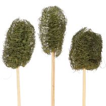 Prodotto Decorazione di cetriolo in spugna di luffa su bastoncino verde scuro 5-7 cm 25 pezzi