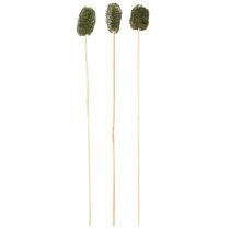 Prodotto Decorazione di cetriolo in spugna di luffa su bastoncino verde scuro 5-7 cm 25 pezzi