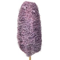 Prodotto Luffa su uno stelo piccola bacca decorativa essiccata 5-12 cm 25 pezzi
