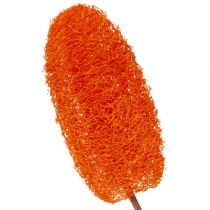 Prodotto Luffa piccola su stecco arancione 25 pz