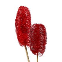 Prodotto Luffa grande su stecco rossa 25 pz