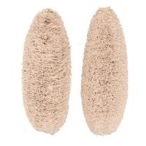 Prodotto Luffa grande sbiancata 20 pezzi