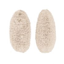 Prodotto Luffa piccola sbiancata 50 pz