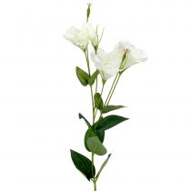 Prodotto Fiore artificiale Lysianthus bianco L87,5 cm