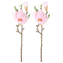 Prodotto Magnolia rosa fiore artificiale ramo di fiori artificiali H40cm 2 pezzi