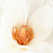 Prodotto Magnolia bianco artificiale boccioli di fiori decorazione ramo H40cm 2 pezzi