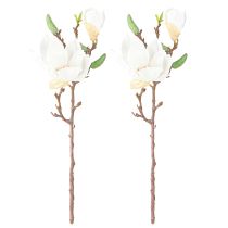 Prodotto Magnolia bianco artificiale boccioli di fiori decorazione ramo H40cm 2 pezzi