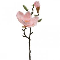Prodotto Decorazione floreale artificiale rosa magnolia Ramo di fiori artificiali H40cm