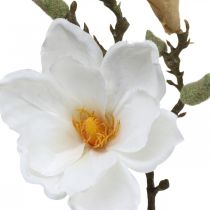 Fiore artificiale bianco magnolia con boccioli su ramo decorativo H40cm