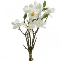 Prodotto Rami di magnolia artificiale ramo decorativo bianco H40cm 4 pezzi in mazzetto