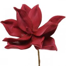 Prodotto Magnolia artificiale fiore artificiale rosso schiuma decorazione floreale Ø10cm 6pz