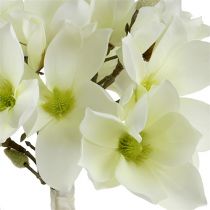 Mazzo di magnolia bianco 40 cm 5 pezzi