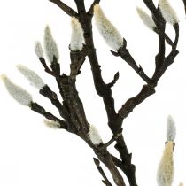 Ramo di magnolia artificiale Ramo decorativo primaverile con boccioli Marrone Bianco L135cm