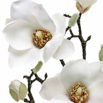 Prodotto Ramo di magnolia bianco Fiore artificiale di magnolia ramo decorativo
