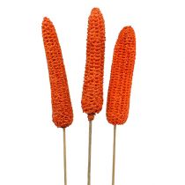 Prodotto Pannocchie di mais su stecco arancio 20 pz