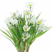 Bouquet di margherite con erba decorativa 37cm