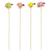 Prodotto Tappi decorativi per fiori coccinella legno colorato 3,5 cm 24 pz