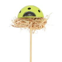 Prodotto Tappi decorativi per fiori coccinella legno colorato 3,5 cm 24 pz