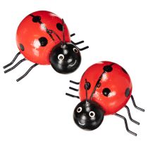 Prodotto Coccinelle/insetti portafortuna in legno come graziose decorazioni per la casa, 5 cm, 6 pezzi