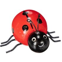 Prodotto Coccinelle portafortuna in legno Graziose decorazioni per casa e fioriere 5 cm, 6 pezzi