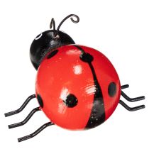 Prodotto Coccinelle portafortuna in legno Graziose decorazioni per casa e fioriere 5 cm, 6 pezzi