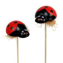 Prodotto Coccinella su bastoncino di legno con decorazione in sisal 5 cm 24 pz