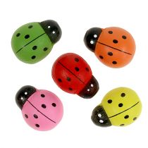 Prodotto Coccinelle colorate 2,5 cm 60 pezzi