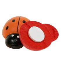 Prodotto Coccinelle colorate 2,5 cm 60 pezzi