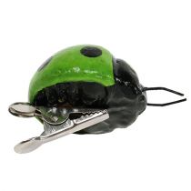 Prodotto Coccinella con clip 4,5 cm rosso, verde 6 pezzi