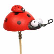 Prodotto Spina decorativa coccinella su bastone legno rosso, nero 4 cm x 2,5 cm H23,5 cm 16 pezzi