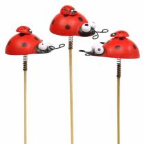 Prodotto Tappi decorativi coccinella su bastoncino legno rosso, nero 4cm x 2,5cm H23,5cm 16 pezzi