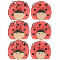 Coccinella legno rosso Ø7cm 6pz