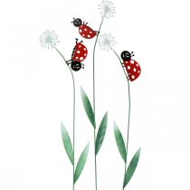Spina decorativa coccinella, decorazione primaverile, dente di leone con scarabeo, spina in metallo L55cm set di 3