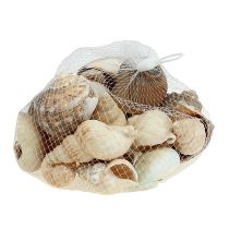 Miscela di conchiglie decorative marittime natura 400g
