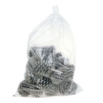 Prodotto Coni Maritima 10 cm - 14 cm imbiancati 25 pz