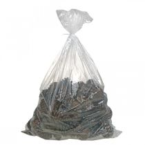 Prodotto Pigne di pino marittimo, composizioni floreali funebri, decorazioni per l'Avvento, prodotto naturale H12–15cm Ø6.5–10cm 50 pezzi