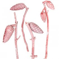 Coni marittimi su ramo rosa/bianco cerato 400g