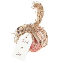 Prodotto Conchiglie decorative marittime mescolate in rete colorata 3,5-6 cm 300 g × 3 pezzi