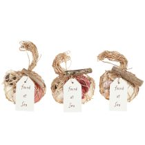 Prodotto Conchiglie decorative marittime miste in una rete, colorate, 3,5-6 cm, 300 g × 3 pezzi