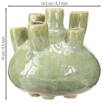 Prodotto Vaso decorativo marittimo Coral Design verde chiaro Ø14,5cm H14cm