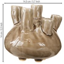Prodotto Vaso marittimo decorazione corallo marrone Ø14,5cm H14cm